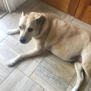 Meet your Posher, Gina